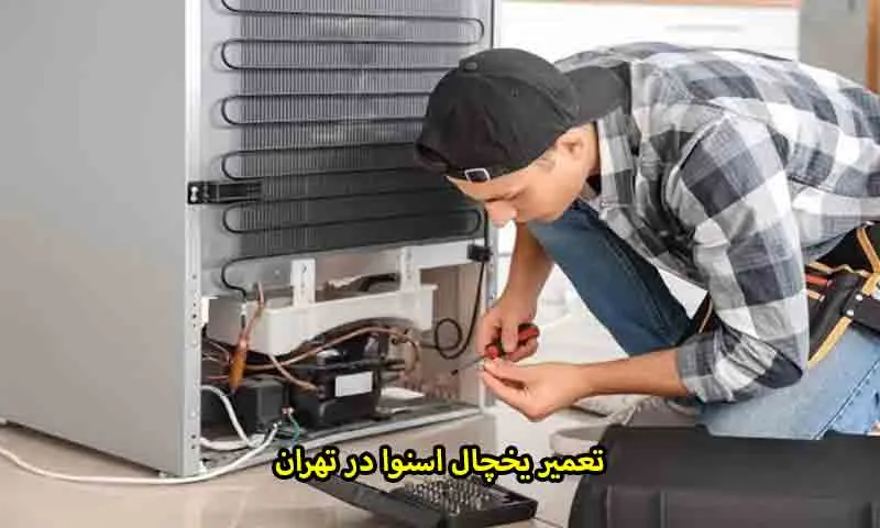 تعمیر یخچال اسنوا در تهران - خدمات تخصصی عیب‌یابی