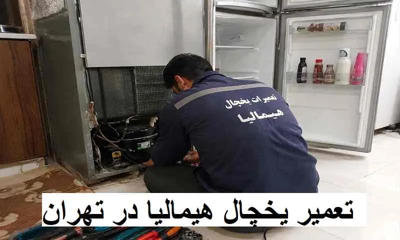 تعمیر یخچال هیمالیا در تهران - تعمیرات تخصصی HIMALIA