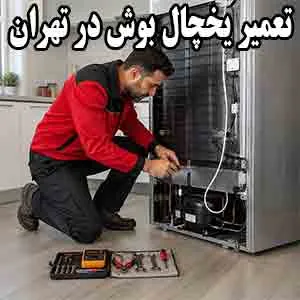 سرویس یخچال بوش